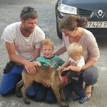 Clare Sullivan - @clare.sullivan.395 - Instagram