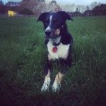 Clare Sutton - @homeygirlie - Instagram