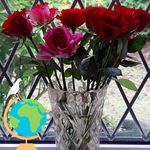 Clare Sutton - @clare.sutton.5036 - Instagram
