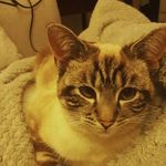 Clare Sutton - @jimpersutton - Instagram