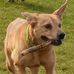 Clare Thornton - Facebook