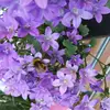 clare thornton - @feelingvintage70 - TikTok