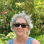 Clare Willis - @clarewillis - Instagram