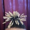Clarence Carpenter - @pineapple.hunter36 - TikTok