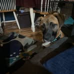 Clarence Collins - Facebook