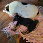 Clarence Ferrell - @clarenceferrell742 - Instagram