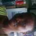 Grace Clarence - Facebook