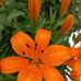 Clarence Guy - Facebook