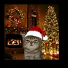 Clarence the cool guy yup - @clarence.eyle - TikTok