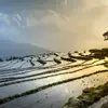 Rick Rick - @clarence_guy_496_010 - TikTok