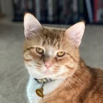 Clarence “Ham Bone” Vann - @sirclarence_ - Instagram