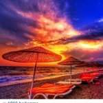 Clarence Harrell - @clarencwdhasl - Instagram