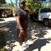Clarence Hogan - Facebook