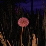 Clarence Koßmann - @clarence_kow_mann - Instagram