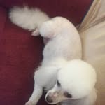 Clarence Mann - @claren.mann - Instagram