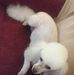 Clarence Mann - Facebook