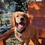Clarence Mann - @clarencemann_ - Instagram