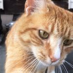 Clarence perry - @clarenceperry7 - Instagram