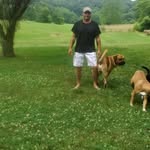 Clarence Perry - @clarenceperry - Instagram