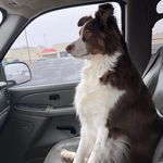 Clarence Ray - @clarence.ray.94 - Instagram