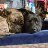 Clarence Robinson - @clarence.robinson53 - TikTok