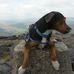 Clarence Slater - Facebook