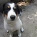 Clarence Slater - Facebook