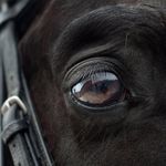 Clarence Taylor - @clarencetaylortipster - Instagram