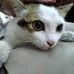 Clarence Yim - Facebook