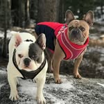 Clarice & Hamilton Lucchesi - @claremarie_and_hamiltonjames - Instagram