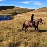 Clarice Bittencourt Otto - @clarice.otto - Instagram