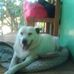 Clarissa Daugherty - Facebook