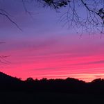 Clarissa Dwyer Fuller - @crisarunner - Instagram