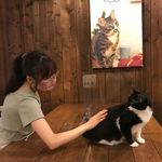 Clarissa Lee - @clarissa_0819 - Instagram