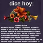 Claritza Abreu - @abreu.claritza - Instagram