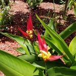 Clark Abbott - @boreh125 - Instagram