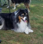 Clark Anklam - Facebook