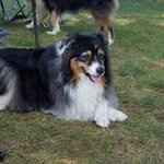 Clark Anklam - @clarkanklam - Instagram
