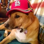 Clark Barton - @clark.barton.7 - Instagram
