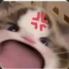 clark beck - @clark.gatinhah - TikTok