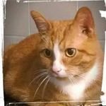 Clark Carter - @clarkcarter9866 - Instagram