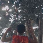 Clark Castillo - Facebook