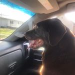 Clark Danielson - @danielsonclark - Instagram