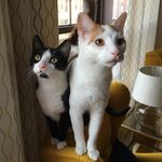 Clark & Foster - @clark_n_foster - Instagram