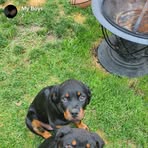 Clark Graves - Facebook