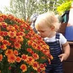 Donna Graves Clark - @donnagravesclark - Instagram