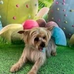 Clark Hamilton - @clarkvhamilton - Instagram