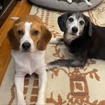 Clark & Yoshi Huff - @yoshiyclark - Instagram