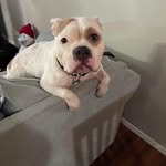 Clark McLaughlin - @clark.mclaughlin22 - Instagram