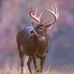 Clark Palmer - Facebook